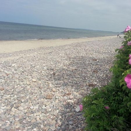 Finnhuette Von Mai Bis September Wittenbeck Exteriör bild