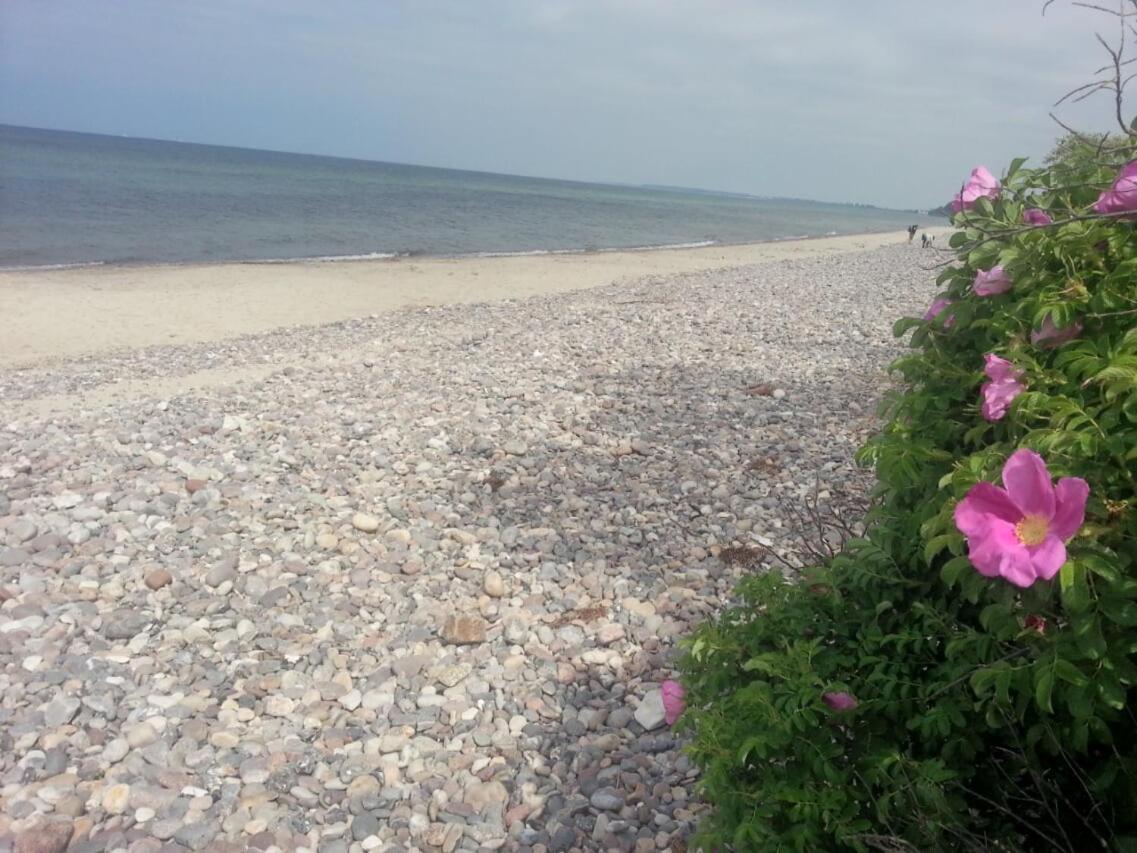 Finnhuette Von Mai Bis September Wittenbeck Exteriör bild